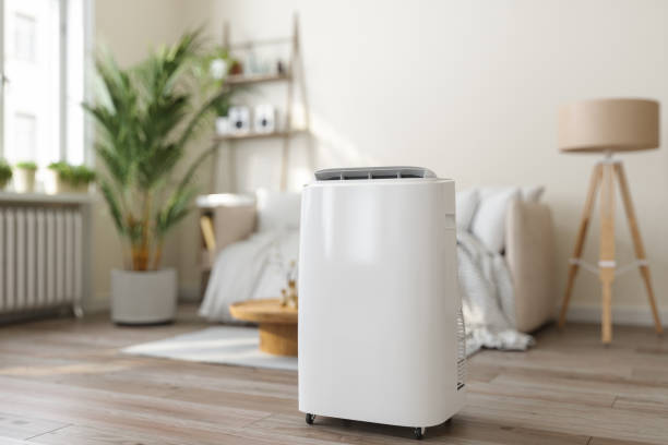 Best HVAC air duct cleaning  in Rector, AR